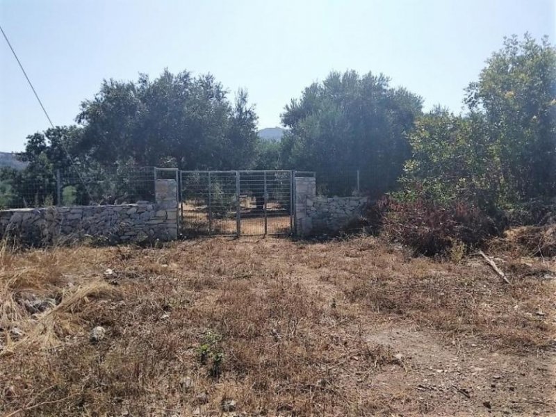 Aspro Kreta, Aspro: Olivenhain mit Meerblick und Baugenehmigung in Aspro Grundstück kaufen